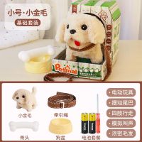 儿童玩具狗狗走路会叫仿真电动毛绒小狗会发声智能宠物狗女孩礼物 小号金毛[小屋+骨头+狗盆+绳子] 电池版