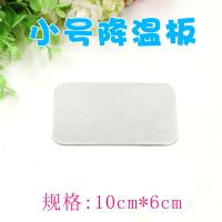 仓鼠陶瓷窝降温窝睡房睡窝睡屋宠物 猫头窝陶瓷窝 小号降温板10*6cn送零食