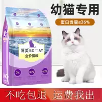 布偶幼猫专用1到4个月离乳期通用型奶糕粮幼崽饲料冻干猫粮海鱼味 营养奶糕味500g