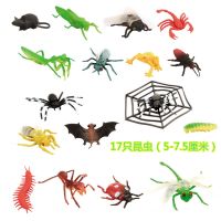 53只动物套装仿真昆虫动物模型恐龙玩具霸王龙儿童礼物男孩恐龙蛋 17PCS 昆虫世界17只