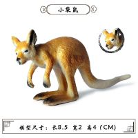 Oenux仿真动物玩具模型澳洲袋鼠装饰品塑胶摆件儿童认知益智玩偶 小袋鼠(注意尺寸小)