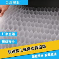 育苗袋蜂窝育苗袋塑料营养袋容器育苗盘蜂巢营养钵种植塑料营养杯 10*8无底10本(200杯/本)