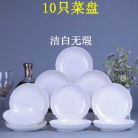 陶瓷盘子家用套装 3-10个装 创意菜盘子圆盘碟子菜盘菜碟餐具餐盘 纯白 3只8英寸圆盘