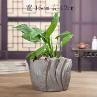 铜钱草陶瓷水培花盆绿萝水养植物花卉玻璃鸭子花瓶容器碗莲荷花 树桩