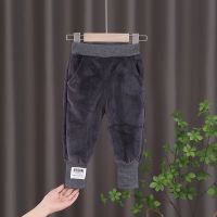 宝宝棉裤男童三层加绒加厚裤子儿童冬装外穿小童婴儿夹棉保暖裤潮 贴标款灰[加绒款] 73 [建议身高60-70]