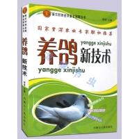 全新正版养鸽新技术新农村创业致富金钥匙丛书养鸽子的书 图片色 默认