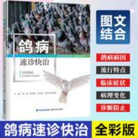 彩图 鸽病速诊快治 鸽子高效养殖书鸽病诊断与防治书 鸽子常见病 鸽病速诊快治