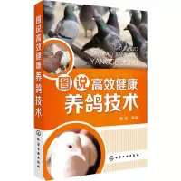 正版 图说高效健康养鸽技术 鸽子苗小鸽 养殖 鸽子养殖技术书大