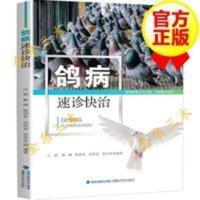 鸽病速诊快治 鸽子高效养殖书籍 鸽病诊断与防治书籍 鸽子常见病 鸽病速诊快治