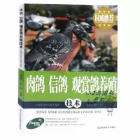 正版肉鸽信鸽观赏鸽养殖技术鸽子品种饲料配制饲养技术疾病防治书 肉鸽信鸽观赏鸽养殖 1本