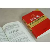 正版2021新民法典及相关司法解释汇编民法典全套条文案例裁判要旨 最新民法典及相关司法解释汇编(2021)