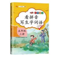 五年级全一册阅读理解训练题语文专项训练书人教版上下册课外阅读 看拼音写词语 五年级上册