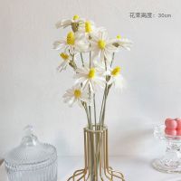 轻奢兔尾草永生花干花花束摆件真花天然风干装饰北欧客厅居家摆设 小滨菊花束 无瓶 干花包