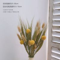 尤加利叶松果满天星摆件摆设真花风干花束装饰干花永生花客厅天然 (不含粗陶花瓶)稻香 干花包