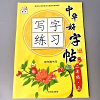 人教版二年级上册+下册练习字帖中华好字帖写字练习同步一课一练 二年级上册