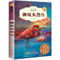 沈石溪动物小说正版流星龙王最后一头猛犸小学生课外书四五六年级 神风火烈鸟