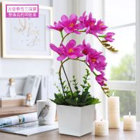 干花客厅仿真花套装花艺蝴蝶兰绢花假花盆栽餐桌茶几家居装饰摆件 草坪方盆苍兰深紫 默认