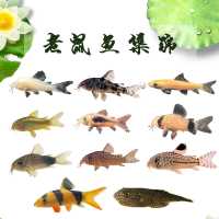 老鼠鱼金苔鼠白鼠花椒鼠咖啡鼠熊猫鼠珍珠鼠底栖除藻清洁工具鱼 100克底栖饲料