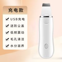 黑头铲超声波去黑头粉刺神器铲皮机脸部按摩器提拉紧致清洁不伤肤 充电款-充电+去黑头
