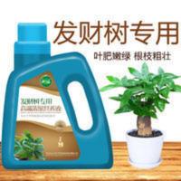 发财树专用营养液 金钱树幸福树专用营养液肥料营养液肥复合肥 发财树专用营养液 金钱树幸福树专用营养液肥料营养液肥复合肥