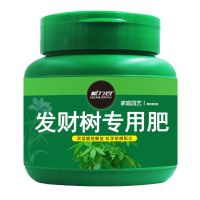 发财树肥料专用肥花肥家用室内植物盆栽通用型养花化肥营养复合肥 发财树专用肥[买1送1 共发2瓶]