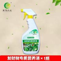发财树专用营养液促生根发芽防黄叶金钱树幸福树绿叶灌木绿萝盆栽 发财树营养液 500ml*1瓶