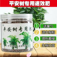 平安树发财树幸福树专用肥料有机无机复合肥缓释肥料观叶植物专用 平安树专用肥一瓶
