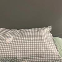 枕套单人一只一对装成人男女学生双人宿舍卡通儿童枕头罩皮小孩夏 [格子小白] 30X50[儿童枕套一只]