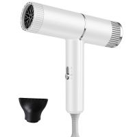 新款电吹风机智能温控大小功率家用宿舍强力静音无声离子护发风筒 白色 1000W[礼盒装]