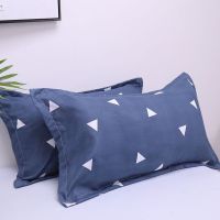 枕套一对成人单双人加厚枕头套学生宿舍枕套信封枕头套情侣2只装 芦荟棉-爱巢 不划算-(枕套一只)