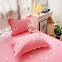 全棉枕套一对装成人全棉枕套学生宿舍单双人枕头罩48*74cm 爱心草莓[正反面棉] 48*74cm[一对