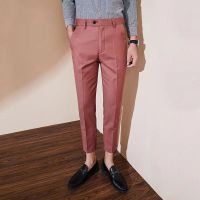 2021春夏季西裤男韩版修身潮流小脚九分裤子男百搭格子休闲男裤 男人红 28 (2尺1)