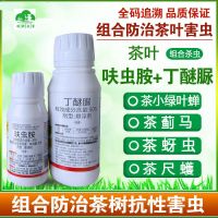 茶叶杀虫组合装 20%呋虫胺+50%丁醚脲 茶树茶小绿叶蝉茶虫杀虫剂 300g