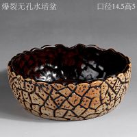 大号碗莲一叶睡莲水仙铜钱草绿萝无孔水培花盆不漏水陶瓷特价清仓 无孔盆 适合铜钱草 巴西木等水培 中等