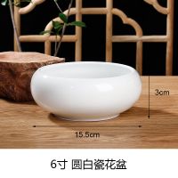 水仙铜钱草花盆陶瓷特价清仓家用一叶莲碗莲简约无孔水培容器多肉 6寸白瓷