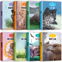 沈石溪动物小说全集正版全套8册 沈石溪的书全系列关于狼小学初中生四五六七年级课外阅读书籍故事6-12周岁必读狼王梦 兔王