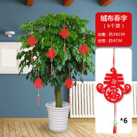 牛年新年春节开业装饰植物小灯笼挂饰盆景盆栽场景布置乔迁挂件 红色春字[6个一包]