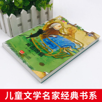 正版 雨街的猫 王一梅童话系列 儿童文学名家经典书系 小学生课外阅读书籍三四五六年级必读读书推荐青少年经典读物单本图书