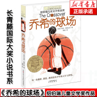 正版 乔希的球场/长青藤国际大奖小说书系 7-8-10-12-14岁三四五六年级中小学生课外阅读书籍 外国儿童文学励志成