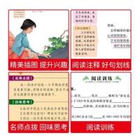 世说新语小学生版正版彩版山东美术出版社课外书必读三四五六年级课外阅读书籍7-12岁书儿童文学名师点评故事书儿童历史书籍