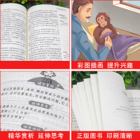 西顿动物故事集 西顿野生故动物故事集精选小说全集 天地出版社原著正版老师推荐三年级四 五六年级小学生课外阅读书籍必读 动