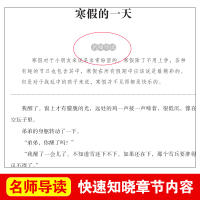 寒假的一天正版 叶圣陶著天地出版社名师导读版 语文选读丛书青少年经典儿童文学名著三四五六年级小学生课外阅读书籍读物