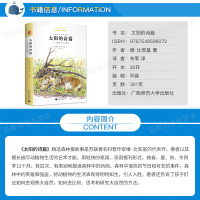 正版 太阳的诗篇《森林报》故事精选 亲近母语经典童书权威译本三四五六年级必读班主任推荐小学生课外阅读书籍广西师范大学出版