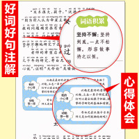 [老师推荐]科学家的故事小学版 小学生课外阅读书籍正版书彩图注音版二年级三四五六年级必读适合小学3-6年级带拼音班主任推