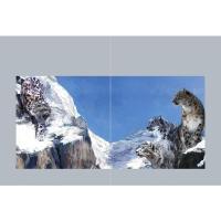 精装 沈石溪动物小说经典爱藏版系列全集 雪域豹影单本 中国儿童文学小学生三四五六年级初中生课外阅读青少年必读的故事书籍正