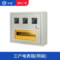 3户PZ40单相电表箱三户配电箱DZ47导轨安装家用明装单C45暗装入墙 3户明装电表箱