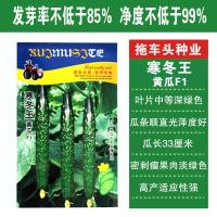 寒冬王黄瓜种子绿芯黄瓜种籽绿心密刺青黄瓜种子四季农家蔬菜种子 寒冬王黄瓜/约200粒袋[买2发3]