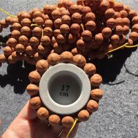 凤眼菩提108颗正宗尼泊尔正圆正眼黄皮高品质佛珠手串念珠 款一:13-14mm单圈