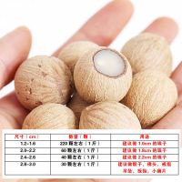 大厂直销菩提子原籽白玉菩提根手串手链diy佛珠项链原料按斤批发 12-16mm 半斤