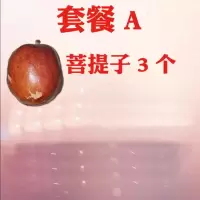 菩提释迦原果佛心果空心菩提菩提子菩提根吊坠原料项链千眼菩提 A套餐-佛心果3个